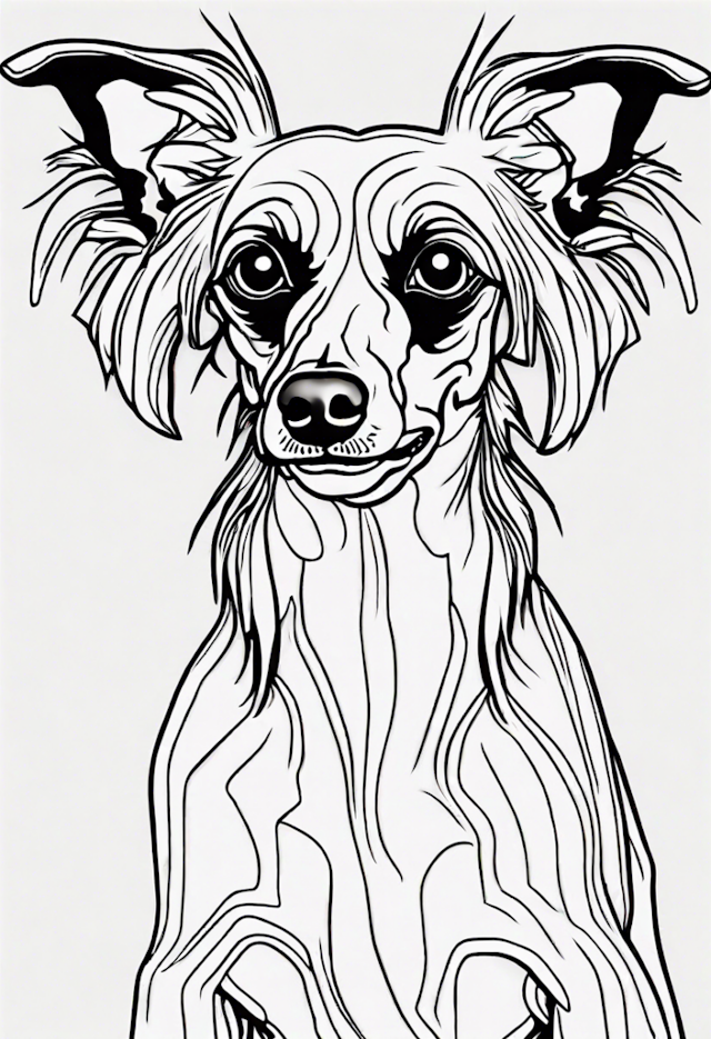 A coloring page of Chinese Crested