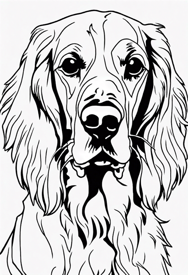 A coloring page of Detailed English Setter